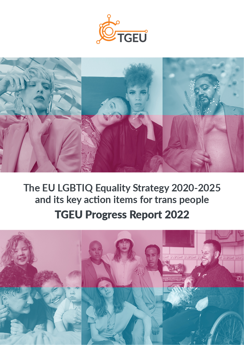 tgeu-equality-strategy-progress-report-2022-cover.png